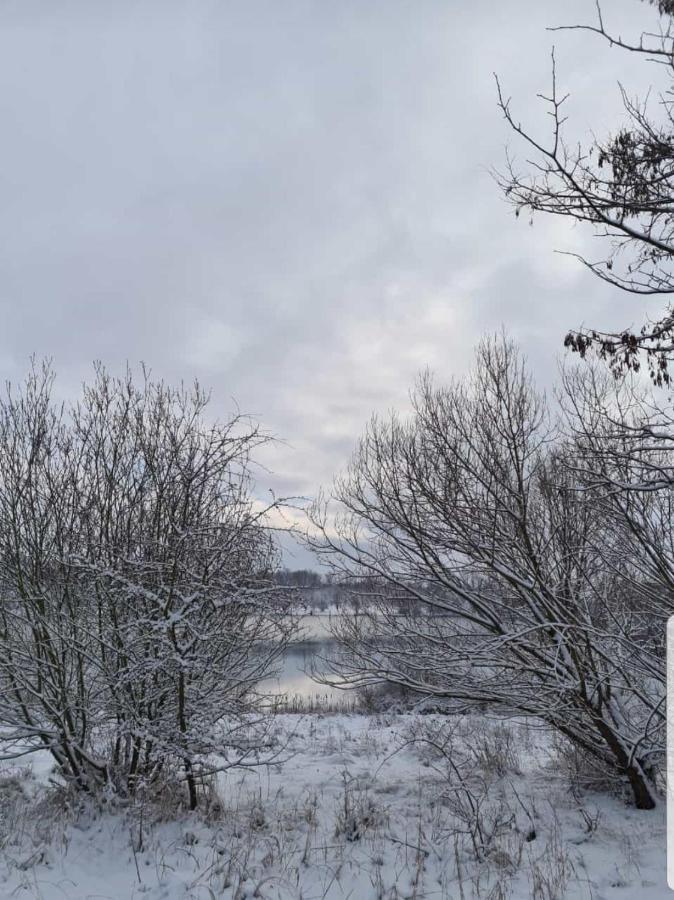 "Altes Stellwerk Frose" Am Froser See Exteriör bild